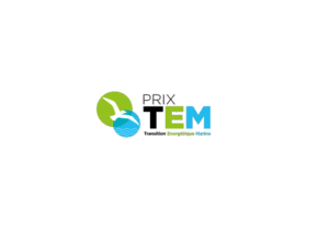 TEM award logo